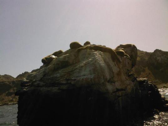 unas-amigas-y-yo-conversando unas-amigas-y-yo-conversando